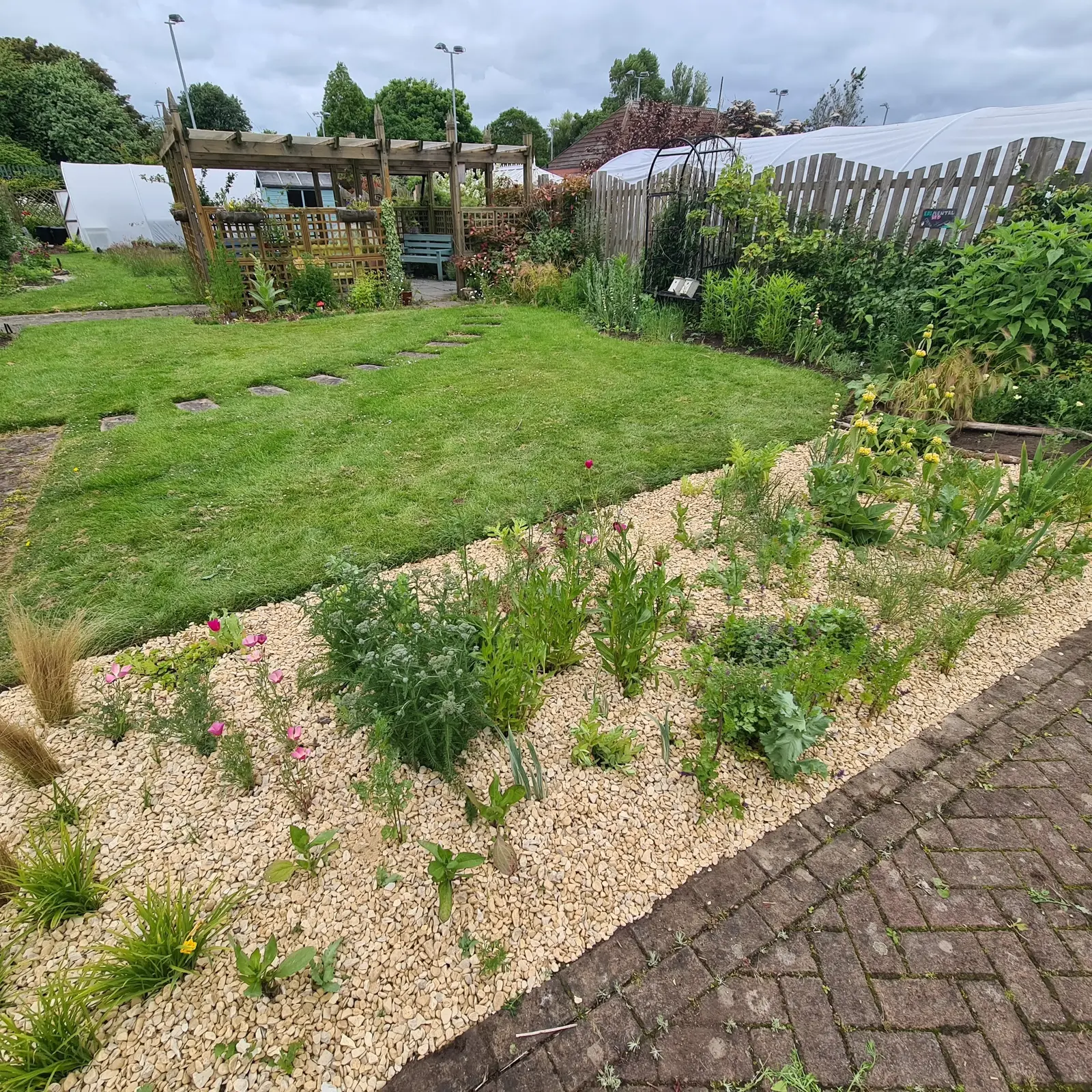 Once the gravel has been laid it looks brighter and reflects light onto the plants. Plants here seem to grow more quickly. 