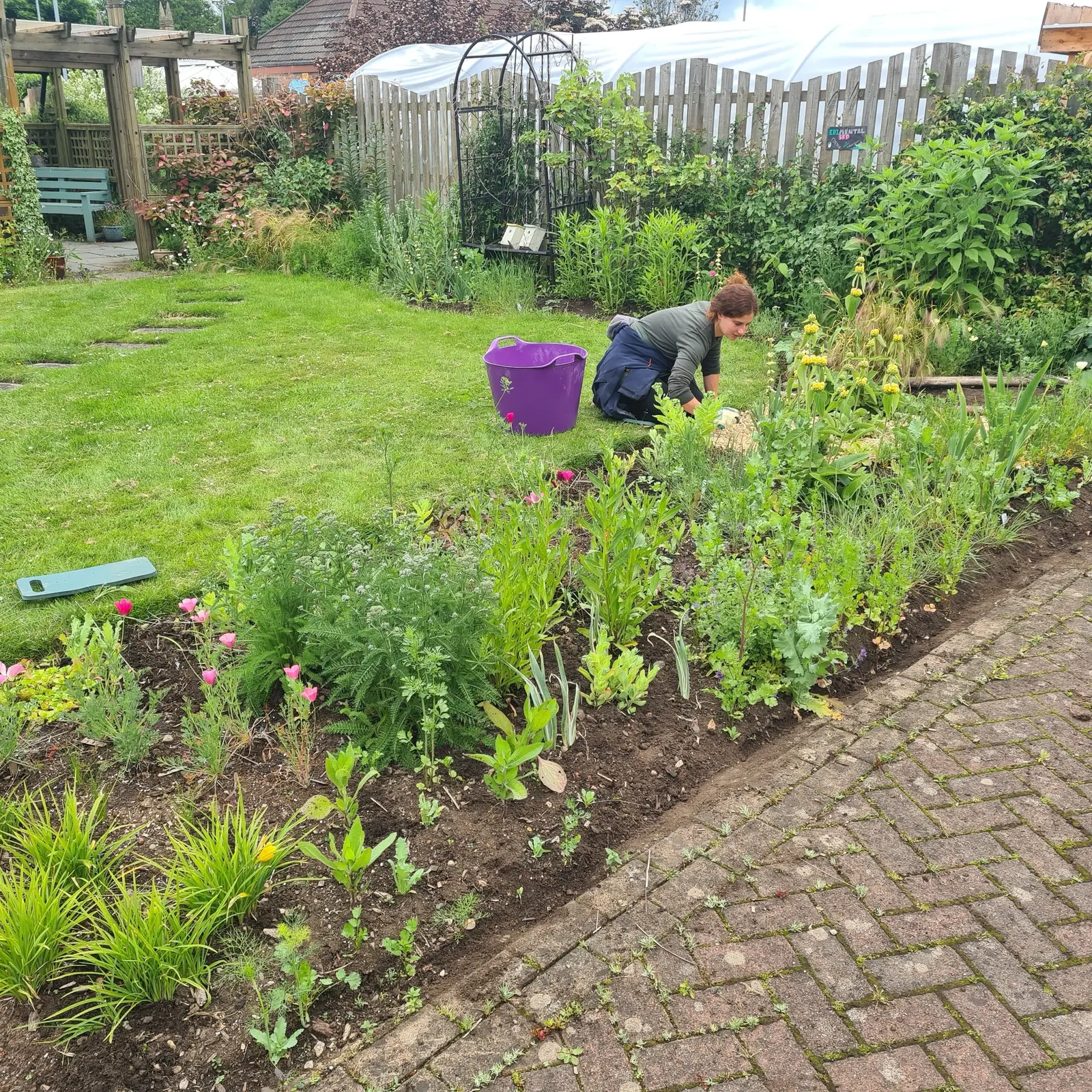 It was much easier to plant everything out before adding the gravel. Planting through gravel has proven challenging. 