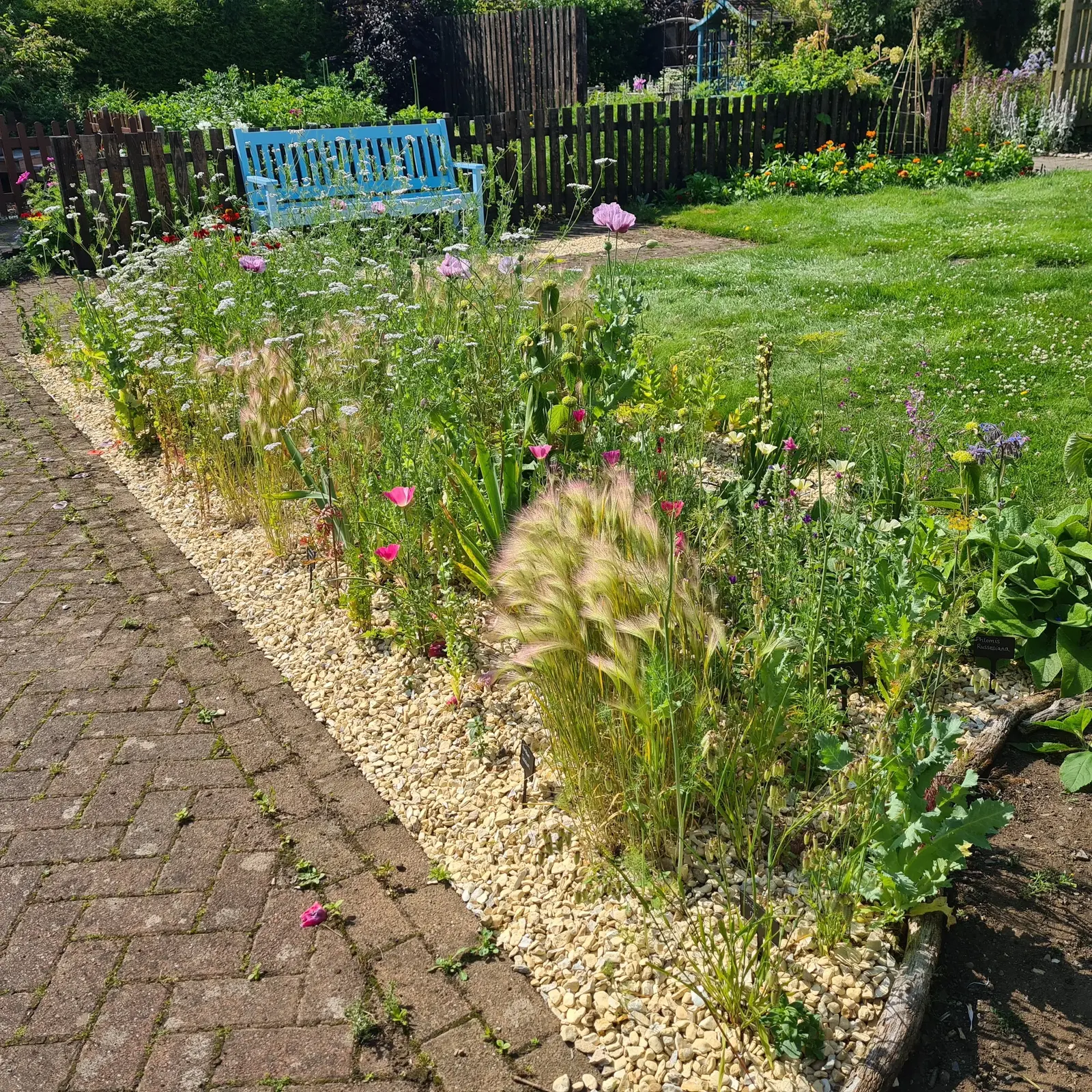 A few months into the experiment and everything is thriving!
